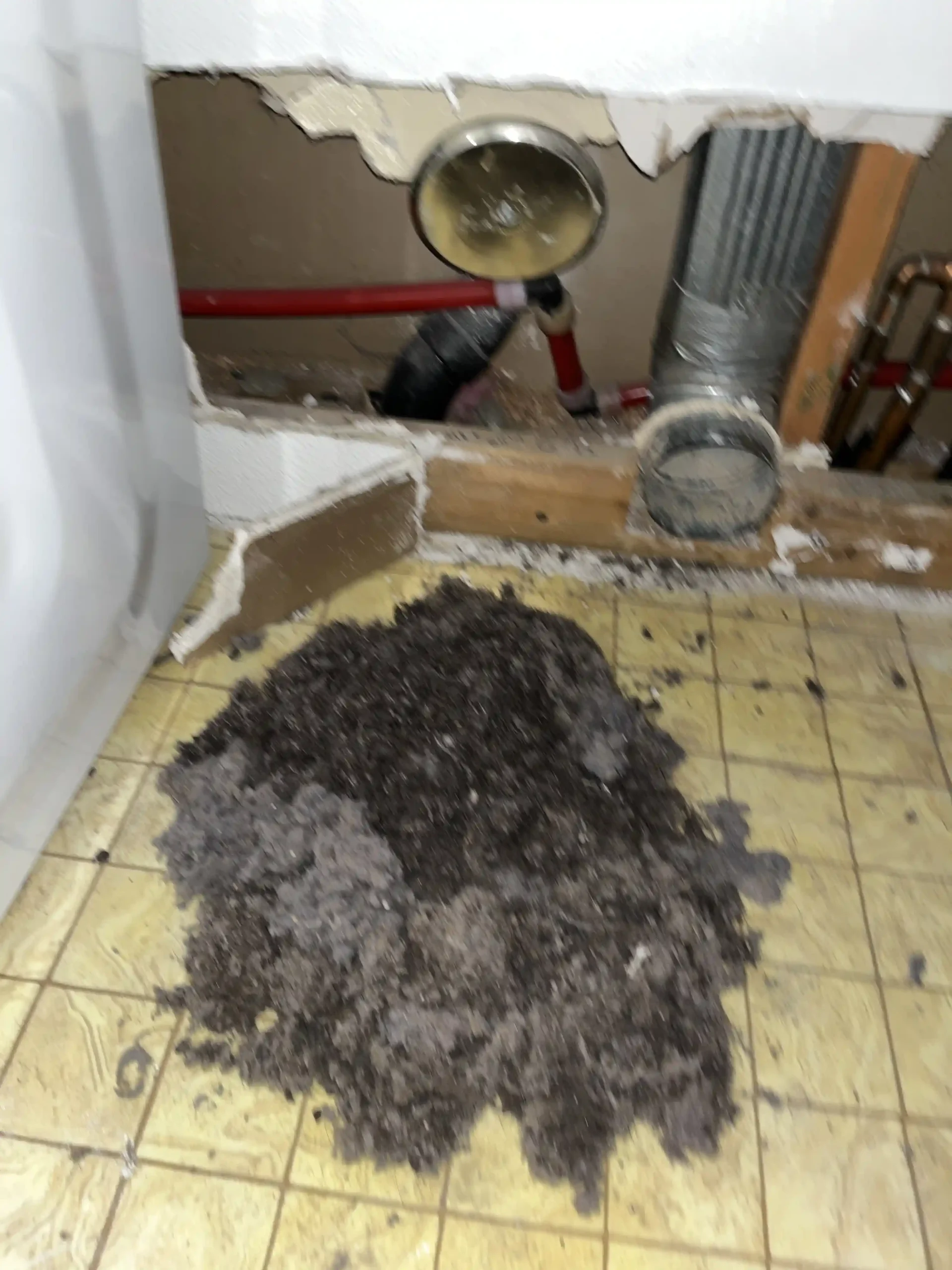 Dryer Cleaning, Vent Cleaning
